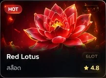 Red Lotus ดอกบัวแดงเรืองแสง
